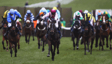 19/03 Day Four Racecards: Gold Cup Day