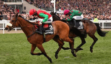 17/03 Day Two Racecards: Ladies Day