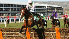 16/03 Day One Racecards: Champion Day