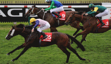 Cheltenham Festival News: Pendleton Gets Green Light and Festival Going Now Soft