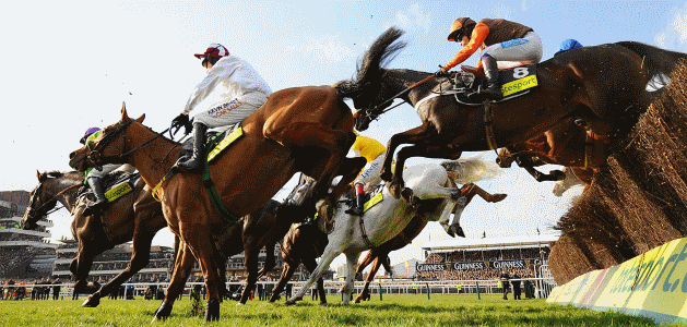 
2026 Cheltenham Festival Racecards Day One